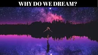 Почему мы видим сны? (Нейробиология сновидений)