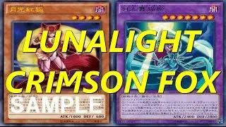 Yugioh - Lunalight Duels (With Lunalight Crimson Fox) (Moonlight)
