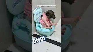 This family adopted a piglet giving it a loving home