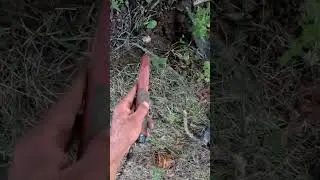 Dug a Crystal Compass Bezel!!! #metaldetecting #treasure #adventure #outdoors #nature