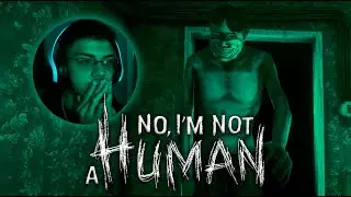 Não, eles não são humanos 🙅‍♂️