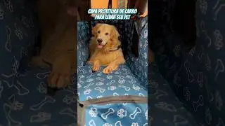 Capa de Carro pra Levar o Pet