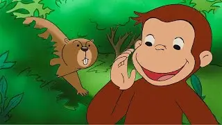 Der Affe und das Waldmurmeltier | Coco der Neugierige | Cartoons für Kinder