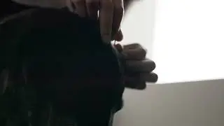 Pet Acupuncture