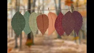 Indian Summer (final edit) #instrumental #jazz #bluesy #fusion