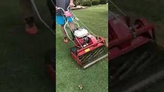 Turf reel mower