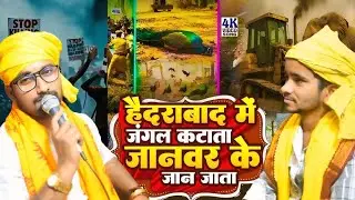 #viral_song​ | हैदराबाद जंगल कटाता | Haidrabad Jungle Viral Video | Hyderabad Forest News&nbsp;
