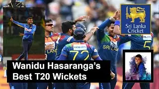 Wanidu Hasaranga's Best Wickets with Habibi Song ( Albanian remix ) | Learn With Rusiru | Cricket