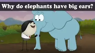 Why do elephants have big ears? | #aumsum #kids #science #education #children