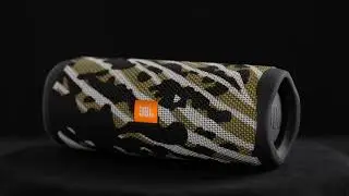 JBL FLIP 5 BLACK STAR