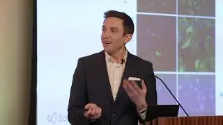 Regeneration & Repair of the Heart & Lung, Michael Bollong, PhD