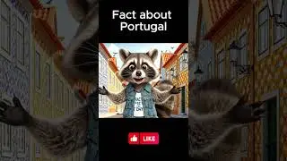 🎨 Portugal&rsquo;s Colorful Tile Art &ndash; Stunning Facades!  #raccoonfacts #factoftheday #racconwilly #shorts