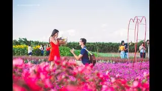 Pedido de casamento surpresa criativo em Holambra - Bruna e Arthur