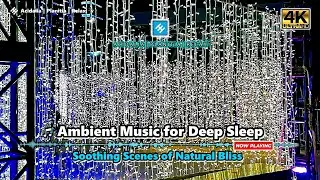 DESIGNED FOR DEEP SLEEP 🌙 Slow Ambient Soundscapes with Holiday Night Glow | 3 Hours | 4K UHD.