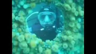 MAQ00003.MP4