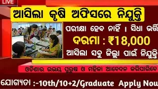 Odisha Agriculture Office Recruitment 2025 ! 10th, 12th Pass Apply Now ! Salary 18,000 Per Month