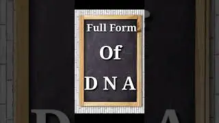 Full Form of DNA || What is the full Form of DNA 🧬