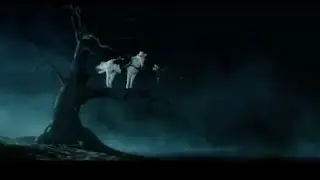 Lone Ranger - Movie in 10 seconds (Horse in a tree)