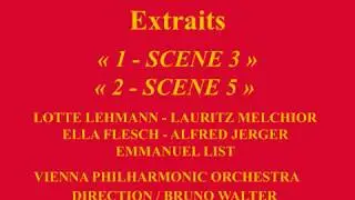 DIE WALK&Uuml;RE  ACTE 2 Extraits    Lotte Lehmann   Lauritz Melchior  Alfred Jerger  Emmanuel List  Brun