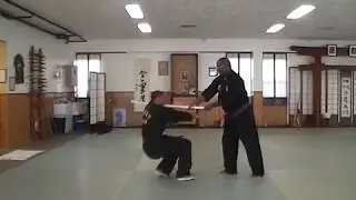 IKMAF-Yu Shin HapGi Mu Yae: HapGi Bup