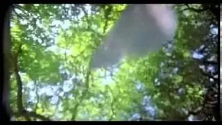 Zen Mobile 'Feather' ad  - 2011