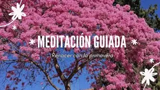 ASMR • MEDITACIÓN GUIADA • Soft Spoken • Renacer con la primavera 🌸🌼💤🌛
