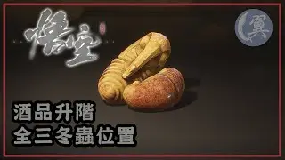酒品升階! 全三冬蟲位置! - Black Myth: Wukong 黑神話：悟空