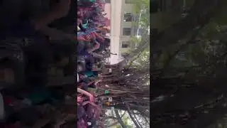 MGR Janaki college Holi celebration (18/3/2022)