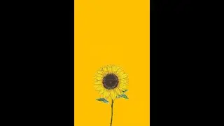 0x000. Coldplay - Yellow, Violin covered by DaVinci42