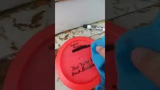 Permanent Marker Mistakes Removal Disc Golf