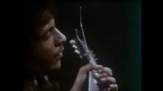 Arthur Lee & Love: Doggone - Live 1970