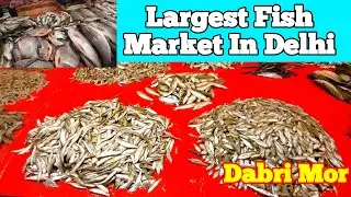 Largest Fish Market in Delhi, Dabri Mor #fishmarket #delhi #viralvideo #viralfish #bengalimarket