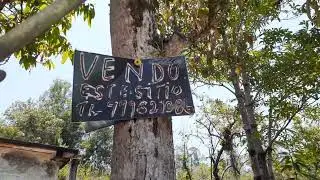 29 de dezembro de 2025