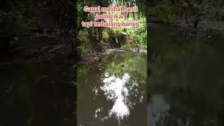 banjir ges tak bisa melihat hasil jaring