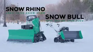 When a Bull Teams Up with a Rhino
