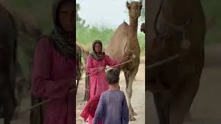 Village Girl and Village Women Life in Pakistan #villagelife #viral