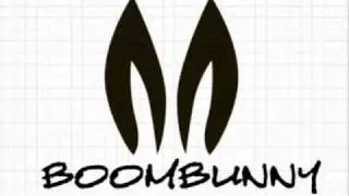 Ting Tings - DJ BoomBunny