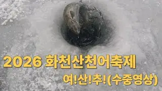 2026 화천산천어축제 수중영상 액션꿀팁!!