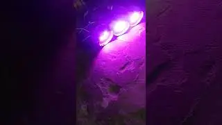 mining mini DJ light. 😱😱🙏&hearts;️💯💯🥰🤩😗😍