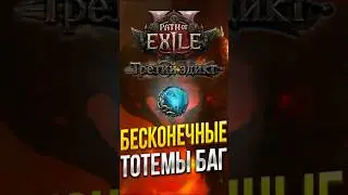 НОВЫЙ БАГ НА УРОН ЧЕРЕЗ ТОТЕМЫ В PATH OF EXILE 2 | СНОВА АБУЗЫ И ДЮПЫ В POE 2?