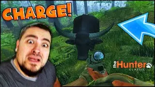UMALO ME UBILO TROPSKO GOVEDO! - theHunter Classic Magpie & Buffalo Hunt