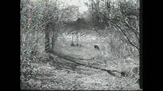 Otterbein Lebanon Nature Trail 1995