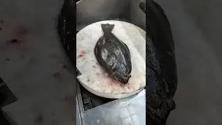 Amazing Big Sole Fish Clean Skills#shorts