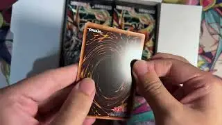 [YGO-ASMR] Darkwing Blast (DABL) PULL
