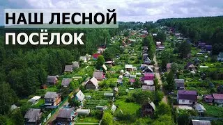 НАШ ЛЕСНОЙ ПОСЁЛОК / ЗАТЕРЯННЫЕ В СИБИРИ