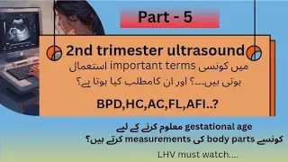 Part-5 Second's Trimester Ultrasound Terms Explained |BPD,HC,AC,FL,AFI|Full Details|OBS Scan report