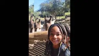 BREVARD ZOO Review! Things to do| Florida Fun