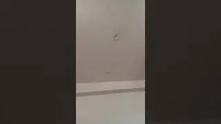 One Bed Booking For A Month 9654000656 (Rs 2000/-) without food