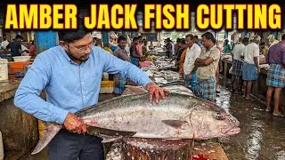Incredible Big Giant Fish Cutting Skills | Very Fresh Amber Jack Fish Cutting by Expert Fish Cutter