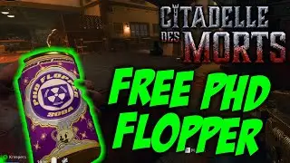 Free PHD Flopper Easter Egg on Citadelle des Morts - COD BO6 Zombies